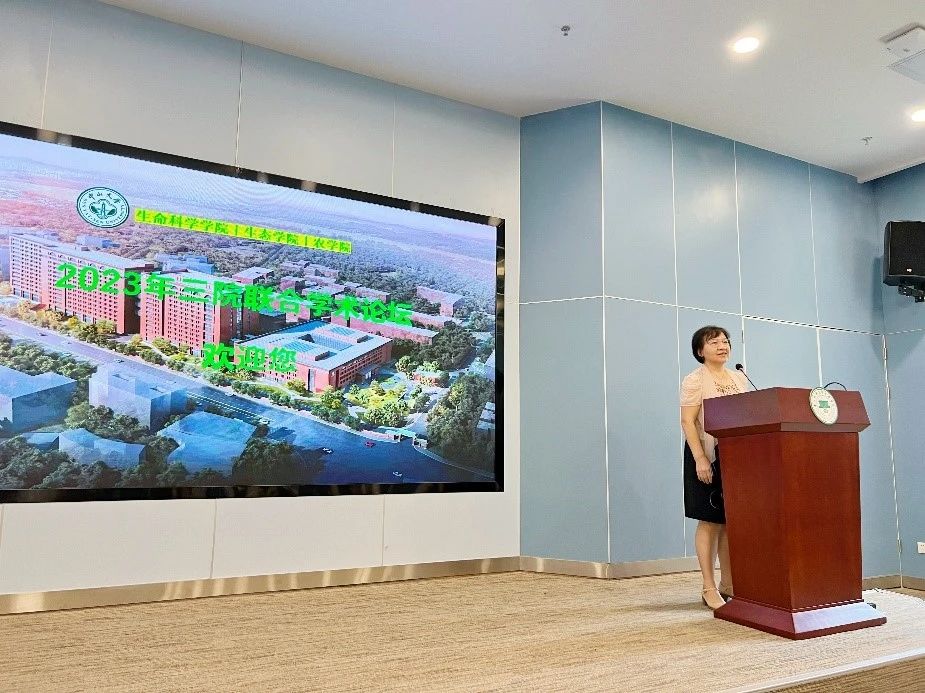 image-20240202161316-4