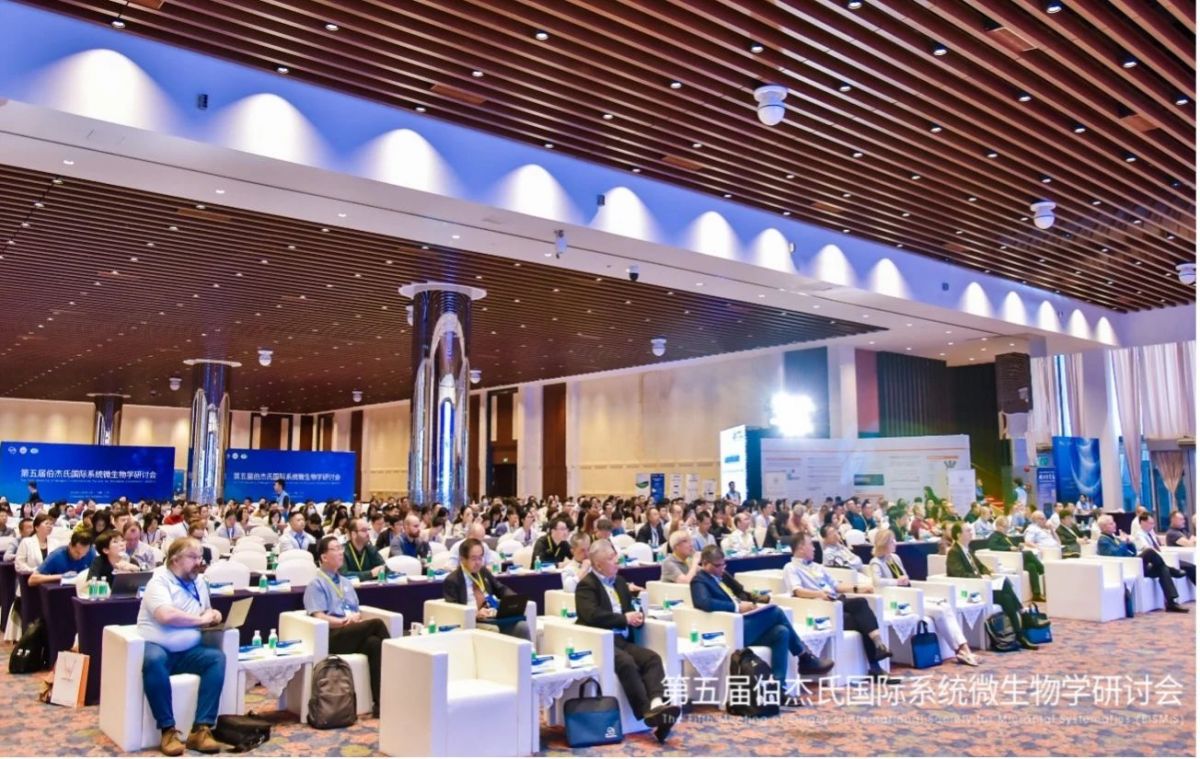 image-20240202161916-1