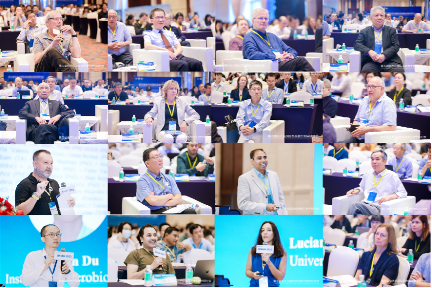 image-20240202161916-4