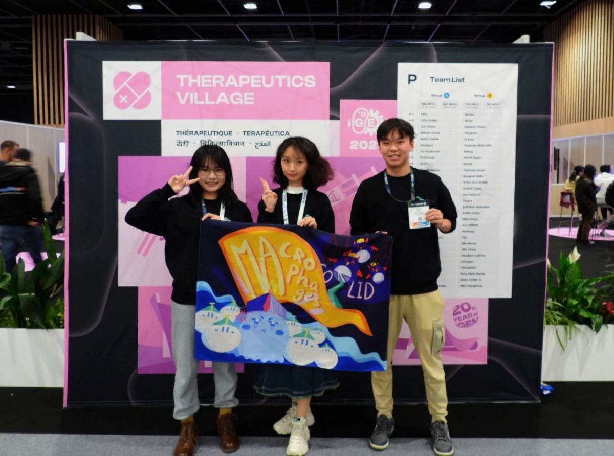 image-20240202161958-2