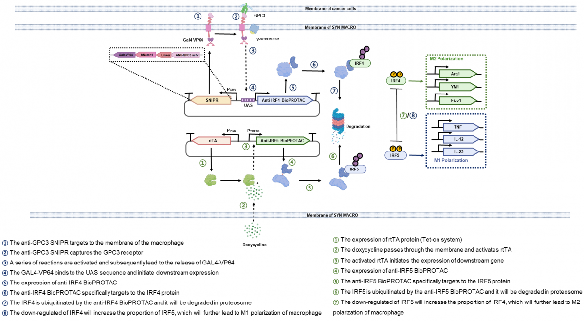image-20240202161958-4