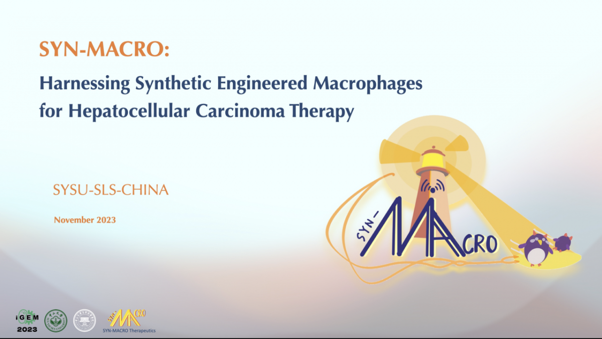 image-20240202161958-5