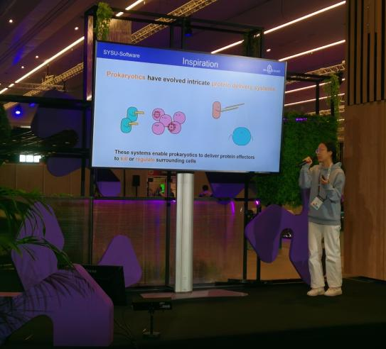 image-20240202161958-6