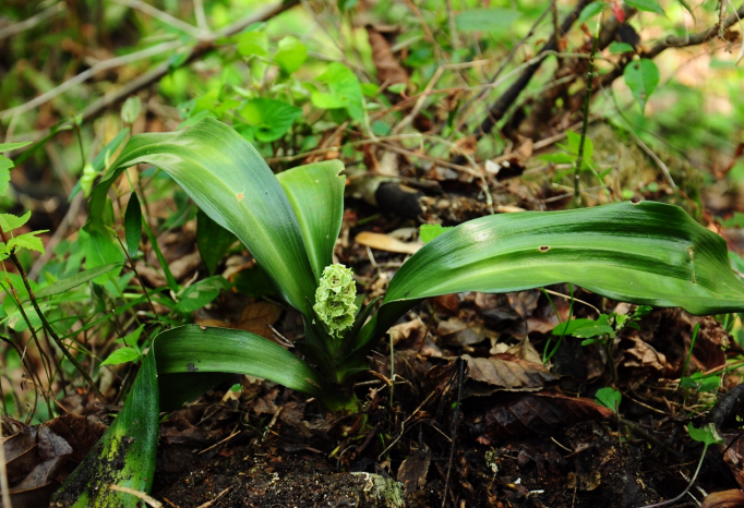 image-20240202162503-1