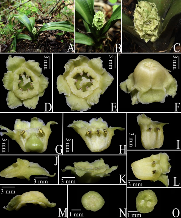 image-20240202162503-2