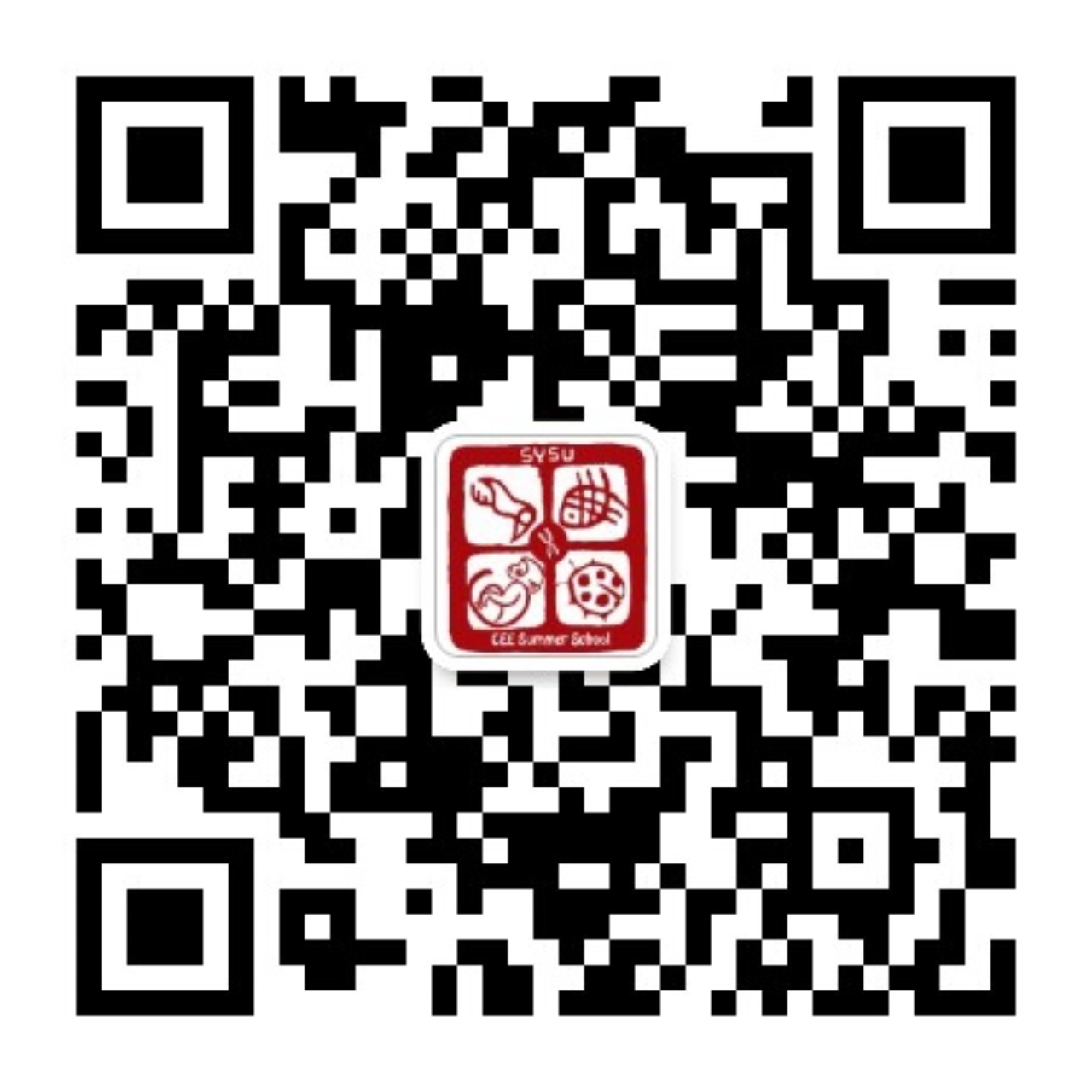 image-20240202165618-2