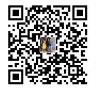 image-20240203181056-1