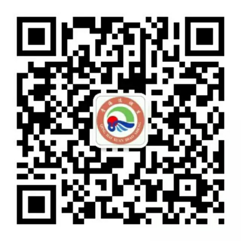 image-20240207162050-1
