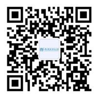 image-20240209002856-1