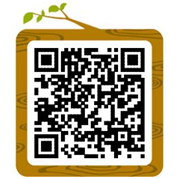 image-20240211002243-1