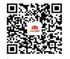 image-20240211231708-2