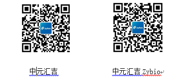 image-20240213133616-2
