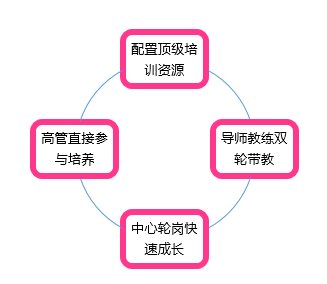 image-20240213163131-3
