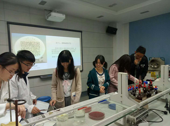 image-20240216174958-1