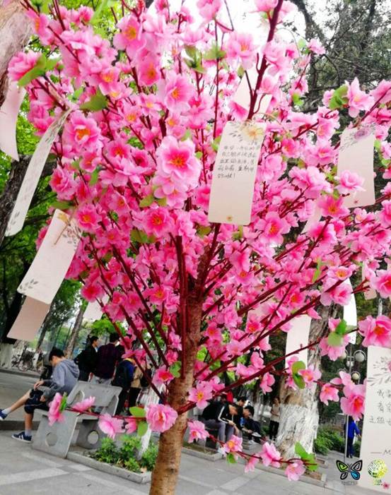 image-20240216174958-2