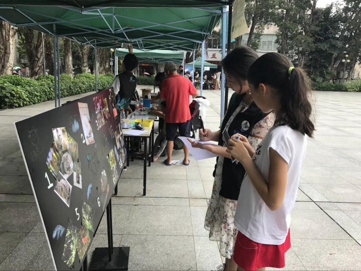 image-20240216175227-2