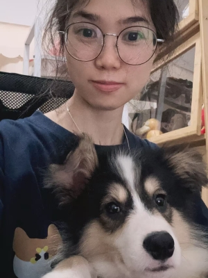 QQ
